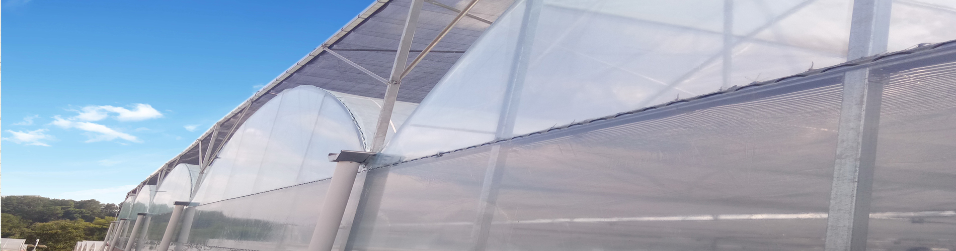 Greenhouse