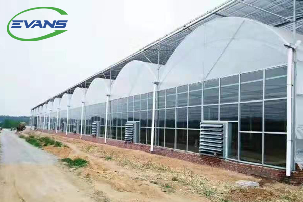 Greenhouse