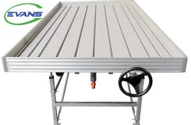Seedling Rolling Bench