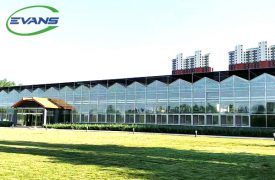 Glass Greenhouse