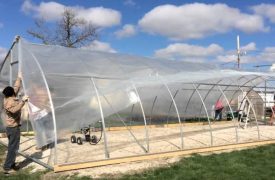 Tips for Replacement of Greenhouse Plastic Film