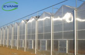 Polycarbonate Greenhouse